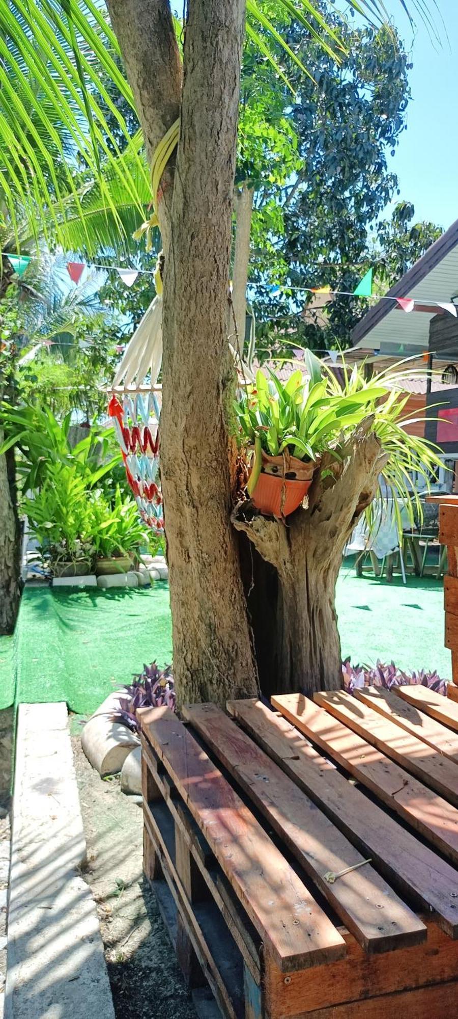 บาคัสโฮมลอร์ด Villa หาดเจ้าสำราญ ภายนอก รูปภาพ